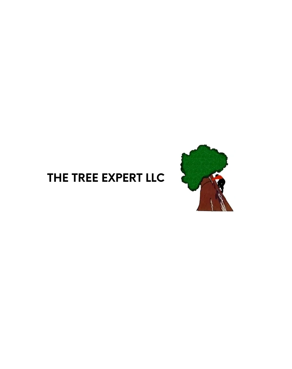 The Tree Expert, llc gallery 2