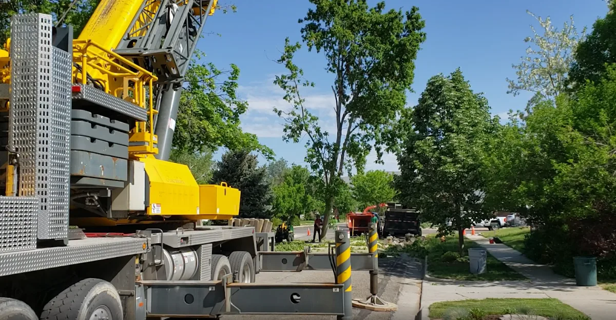 Timber Ridge Tree Service