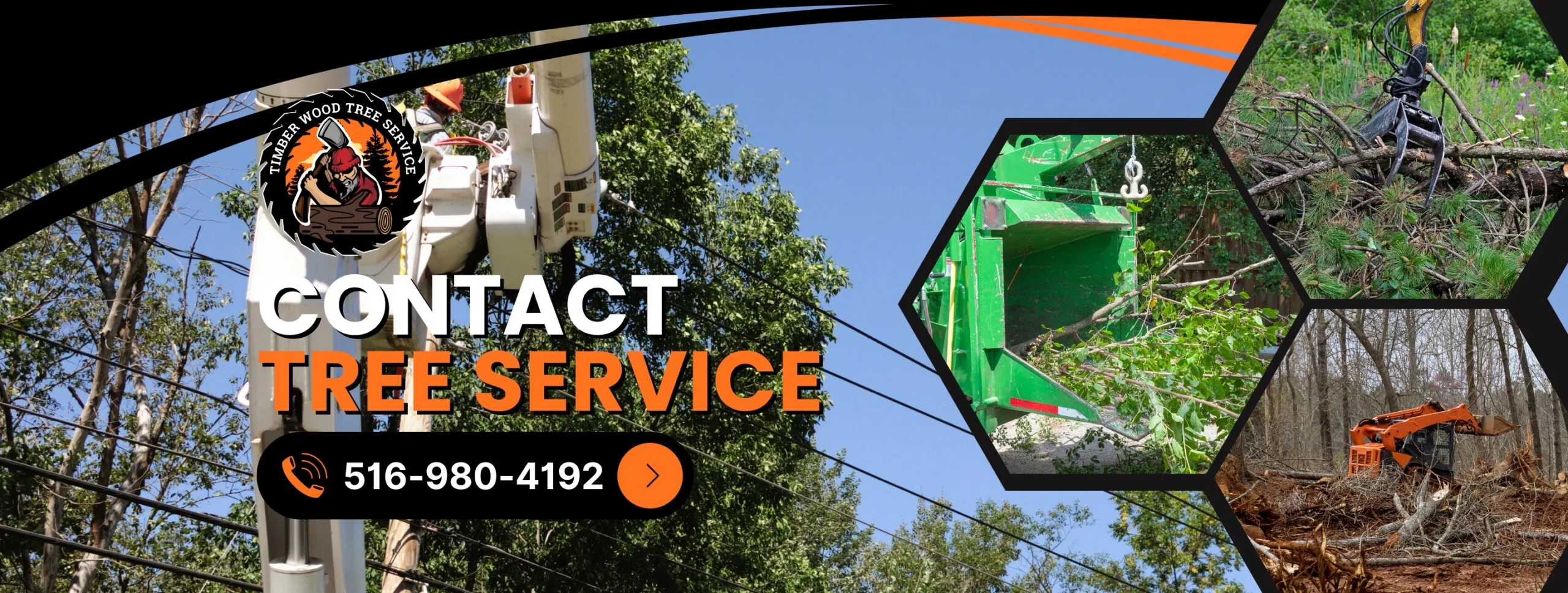 Timber Wood Tree Service gallery 2