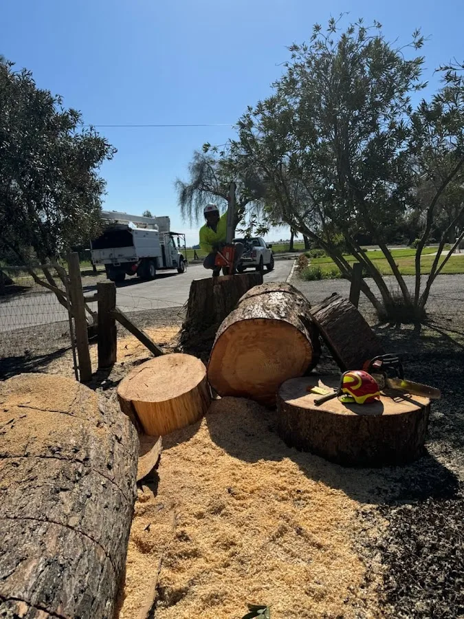 Timberland Tree Service