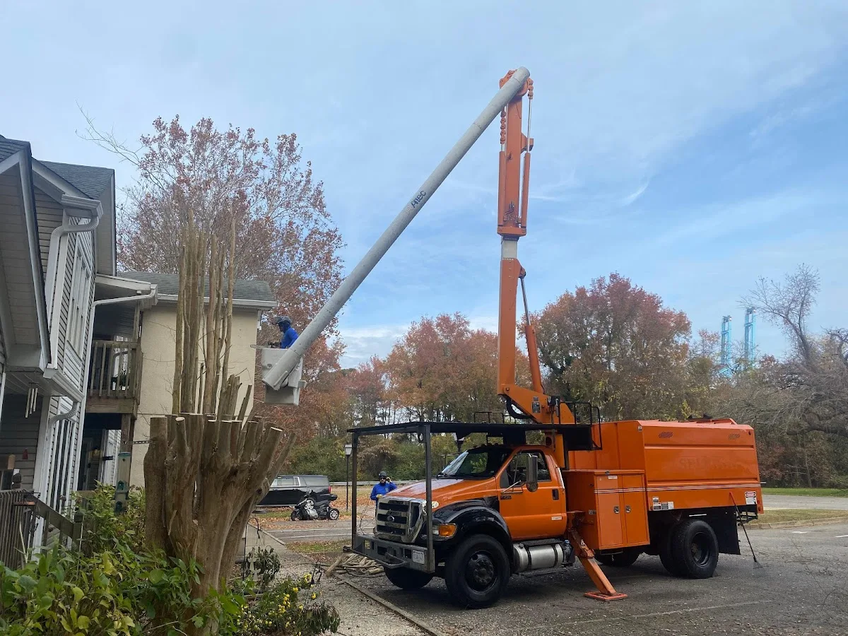 TOP DOGS TREE SERVICES TUSTIN