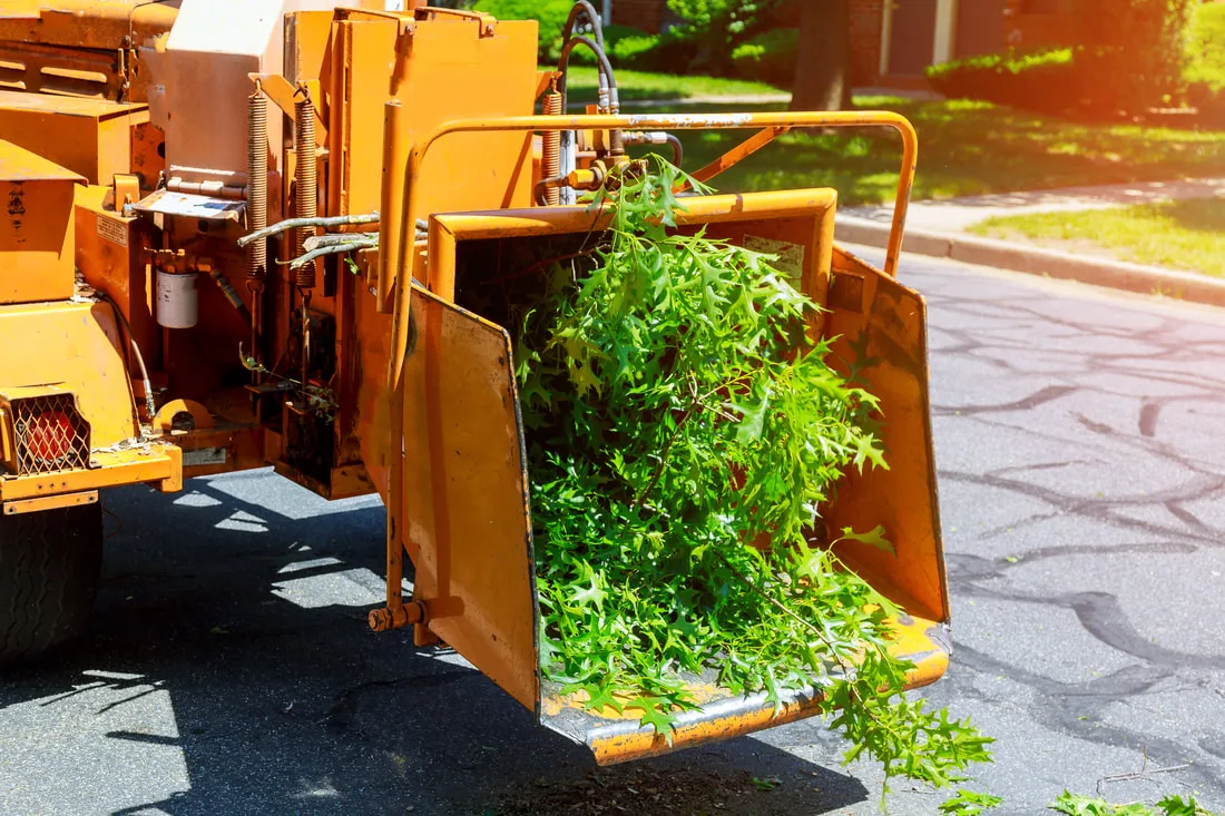TOP DOGS TREE SERVICES TUSTIN gallery 2