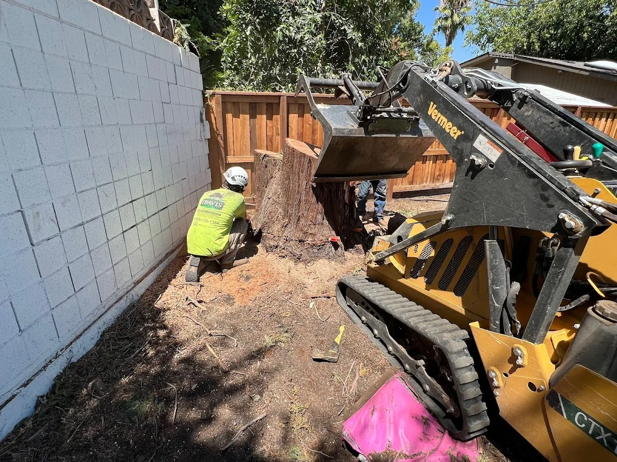 Travis Tree Service gallery 2