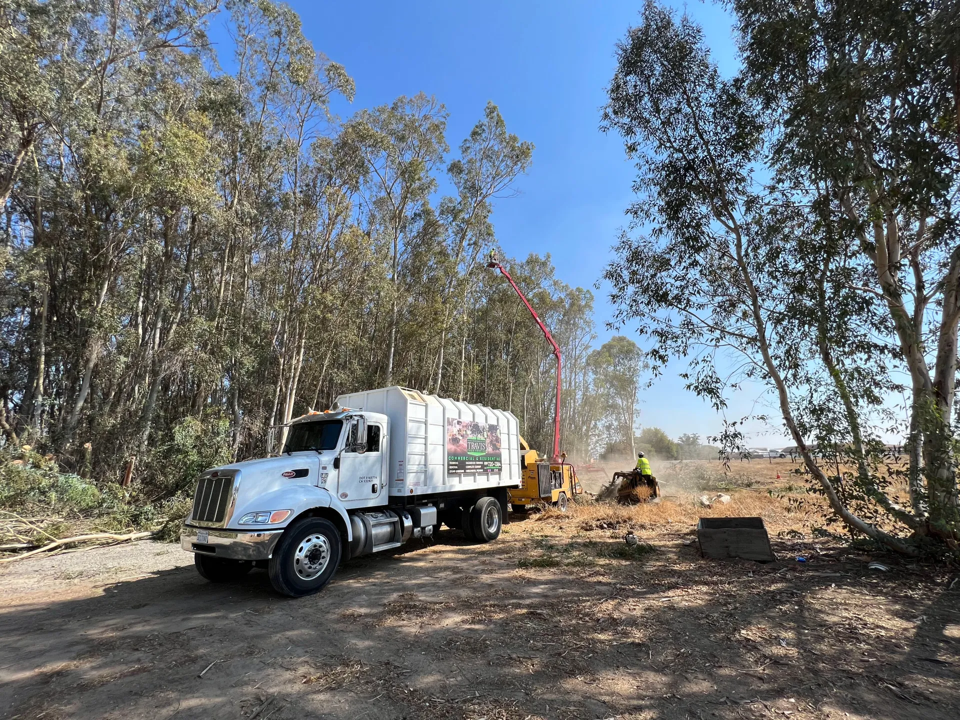 Travis Tree Service gallery 3