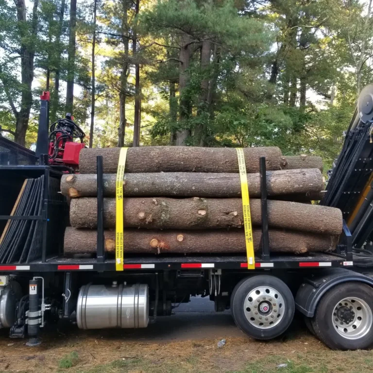Tree and Stump Removal Service gallery 5
