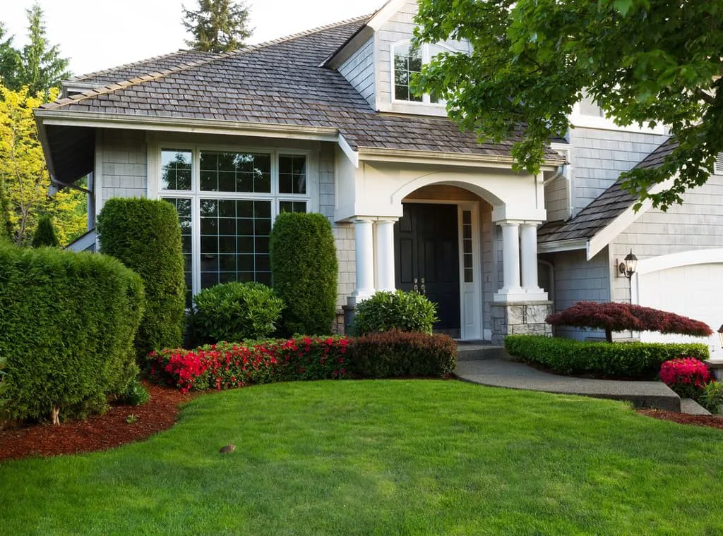 Tree And Yard Renovations gallery 2