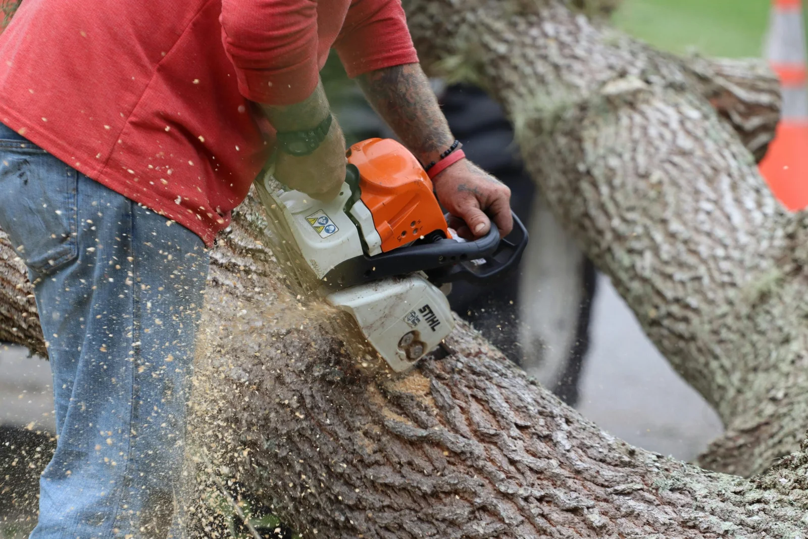 Tree Cutting Bronx, Tree Removal, Tree Services gallery 4