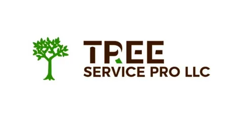 Tree service pro Fort Wayne gallery 3