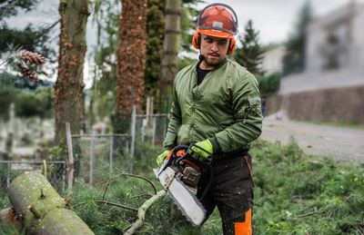 Tree Service San Francisco gallery 2