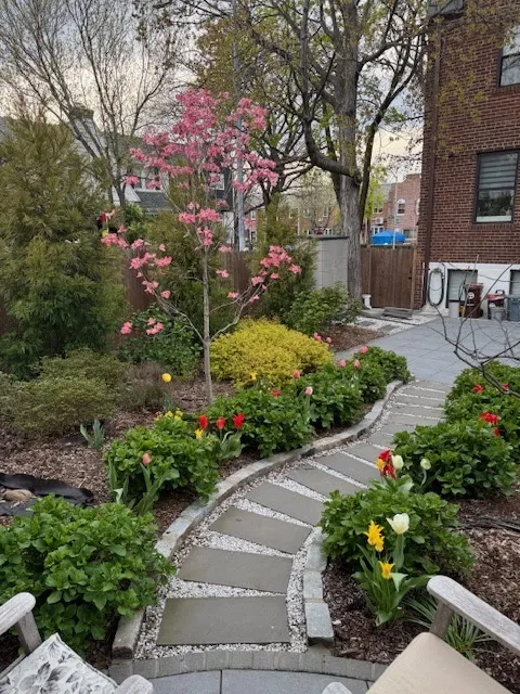 Tree Services Nassau & Queens County NY - Arbor-Pro