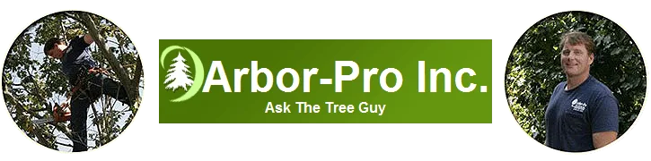 Tree Services Nassau & Queens County NY - Arbor-Pro gallery 2