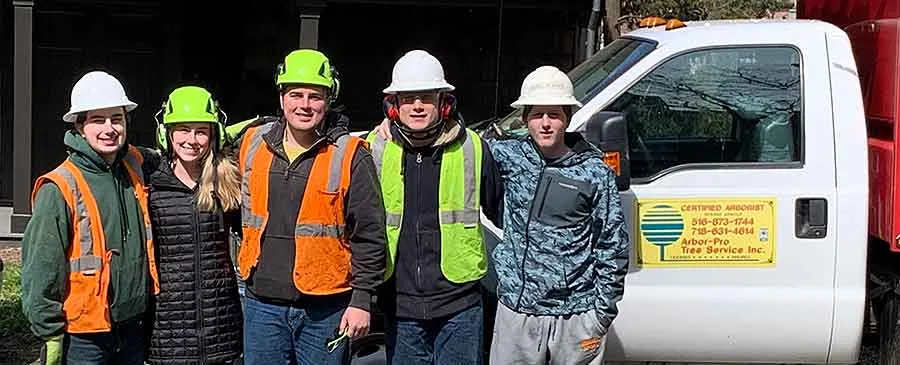 Tree Services Nassau & Queens County NY - Arbor-Pro gallery 6