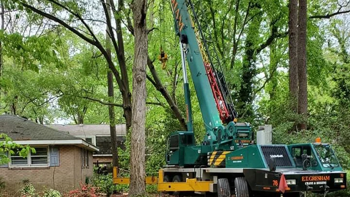 Tree Works, LLC