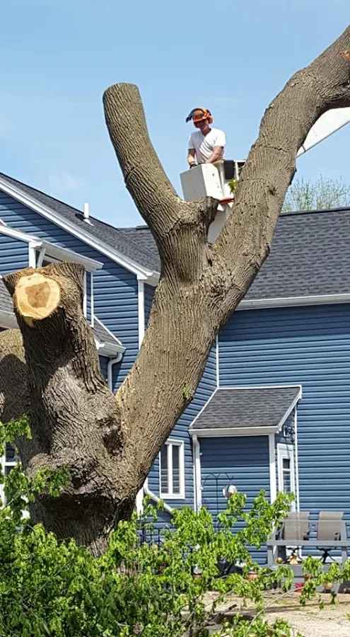 Tree Works Of WNY has local signals that shape the first call