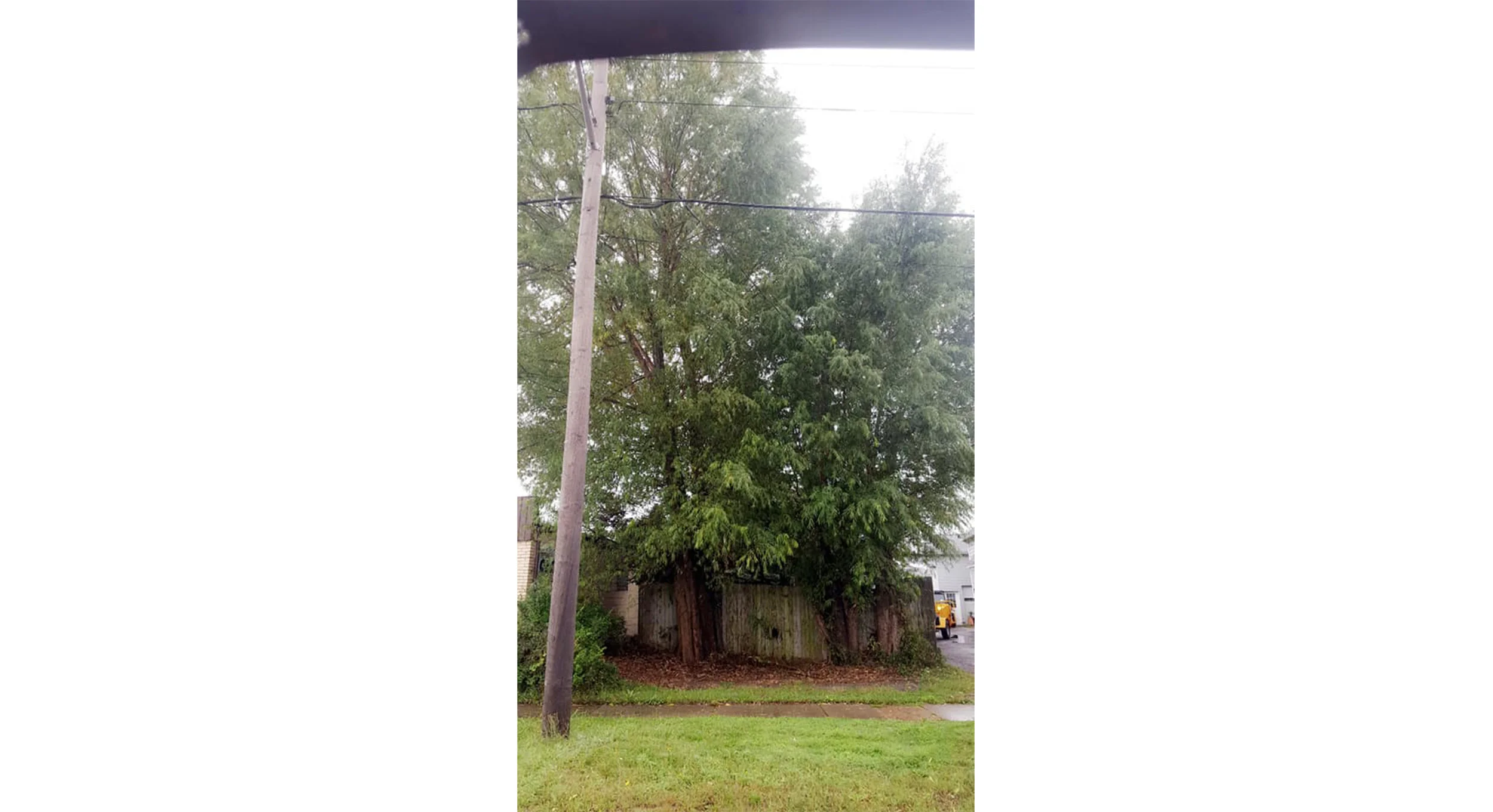 Tree Works Of WNY gallery 7