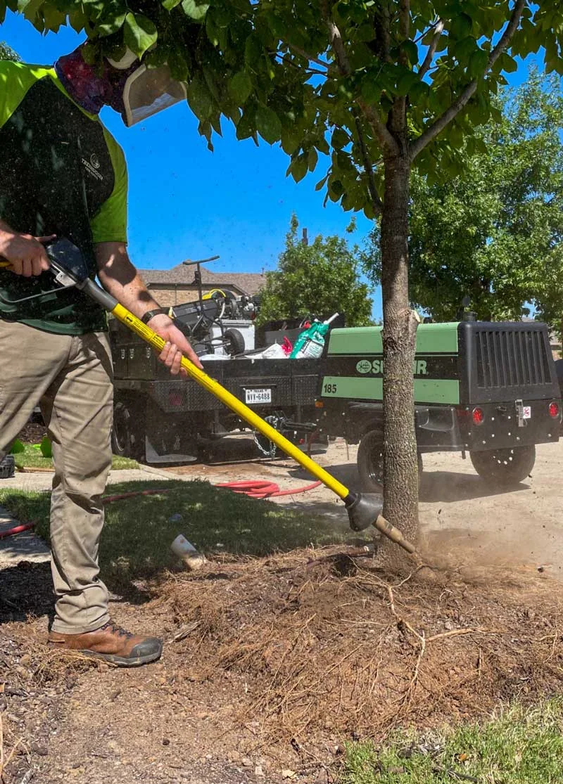 Treehugger Tree Service gallery 4