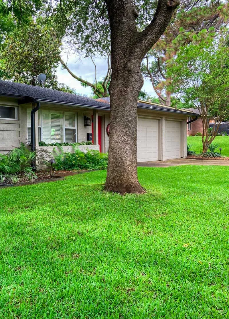 Treehugger Tree Service gallery 6
