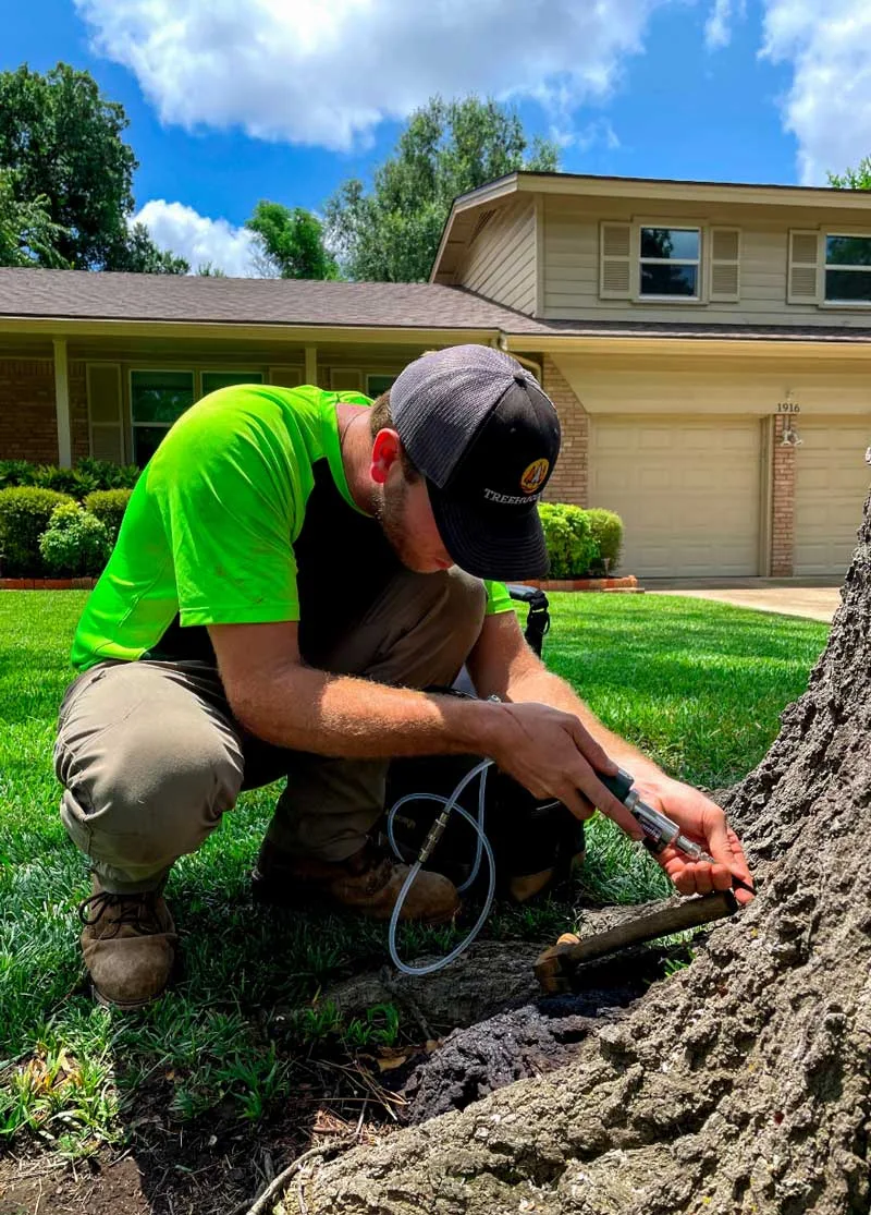 Treehugger Tree Service gallery 9