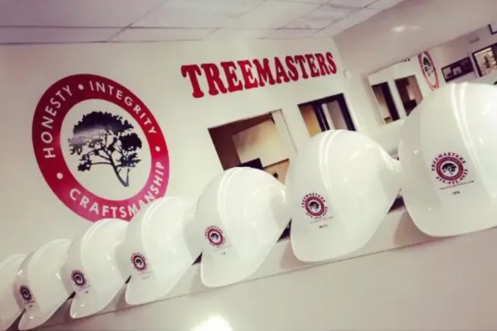 Treemasters