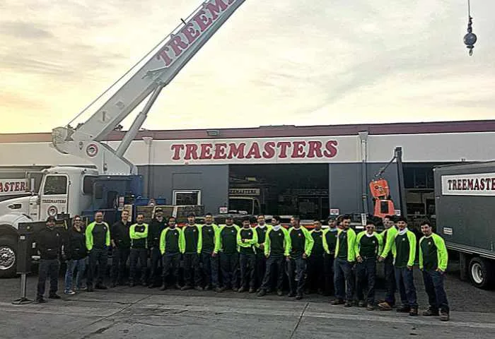 Treemasters gallery 2