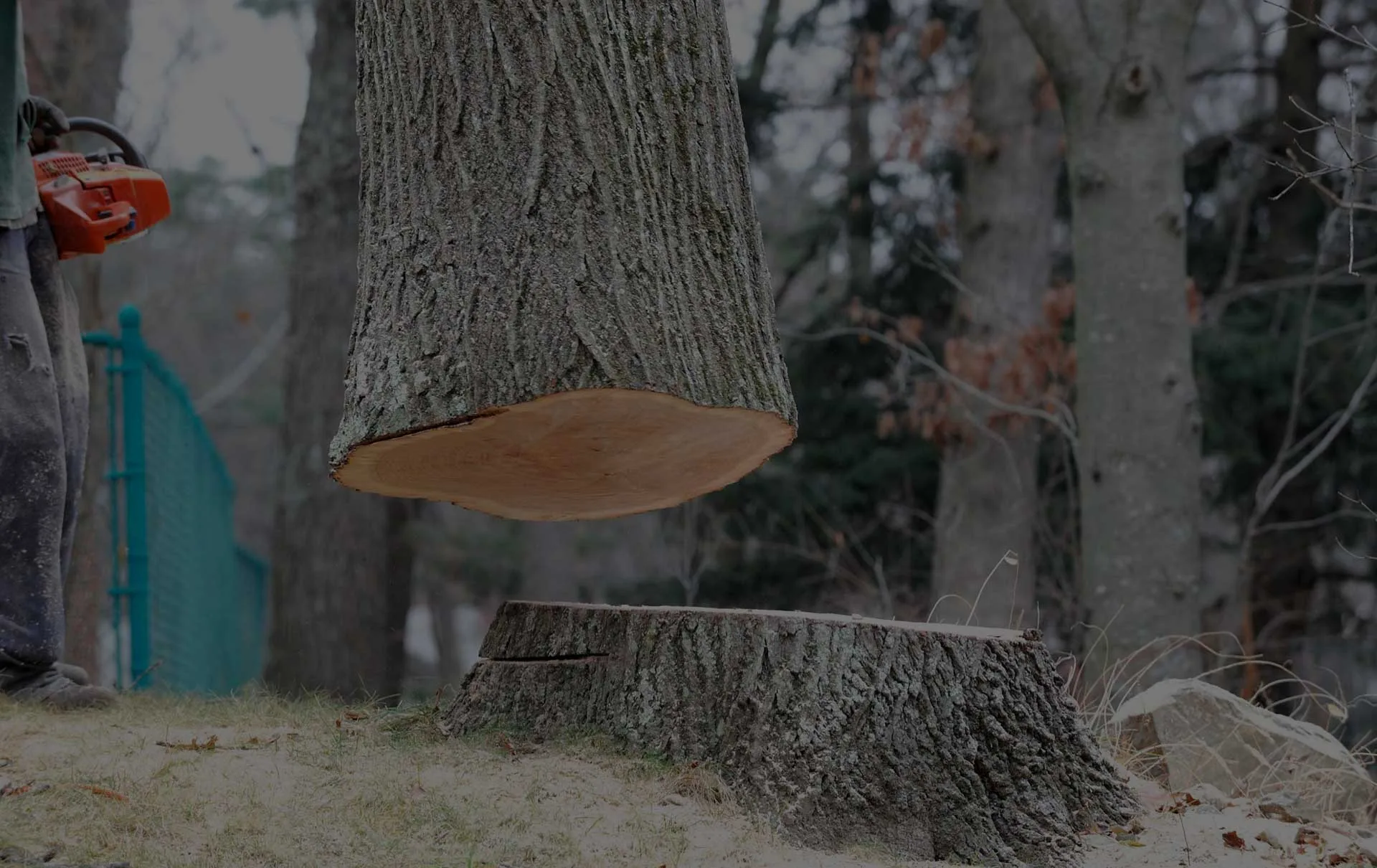 Trees & Driveways LLC. gallery 8