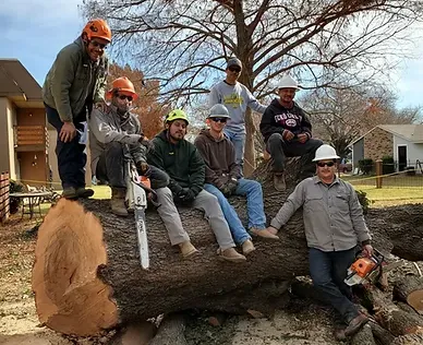 TreeTop Tree Service. gallery 6