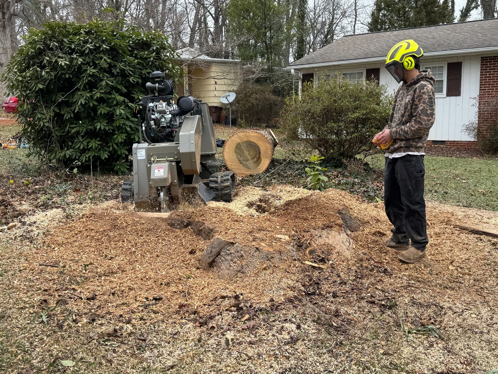 Triple A Tree Service LLC gallery 3