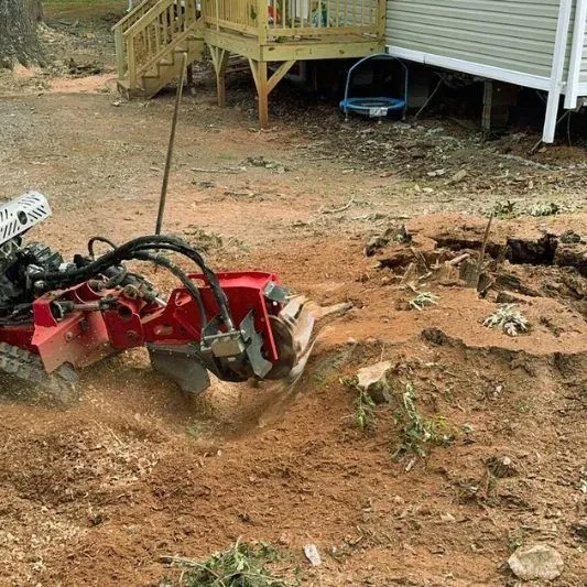 Triple A Tree Service LLC gallery 7