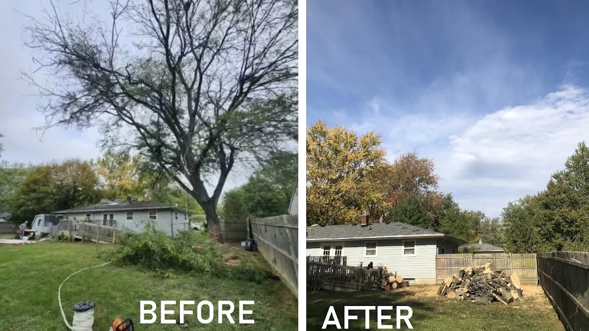 U-Tree LLC