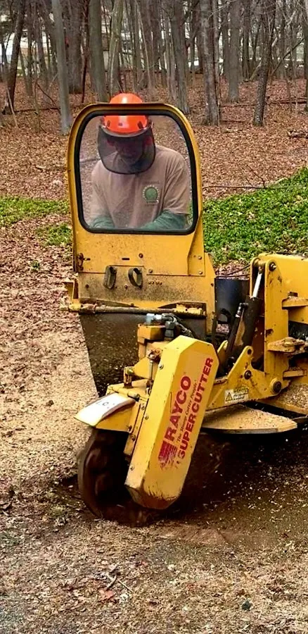 Underhill Stump Grinding