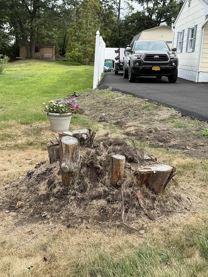 Upstate Stump Grinding