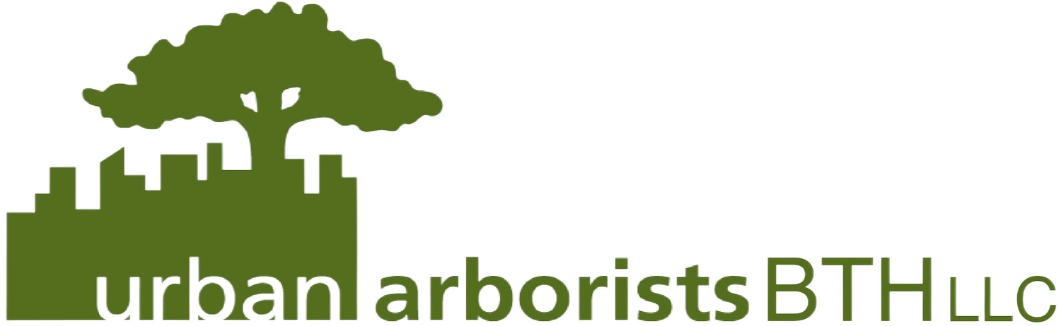 Urban Arborists BTH LLC gallery 2