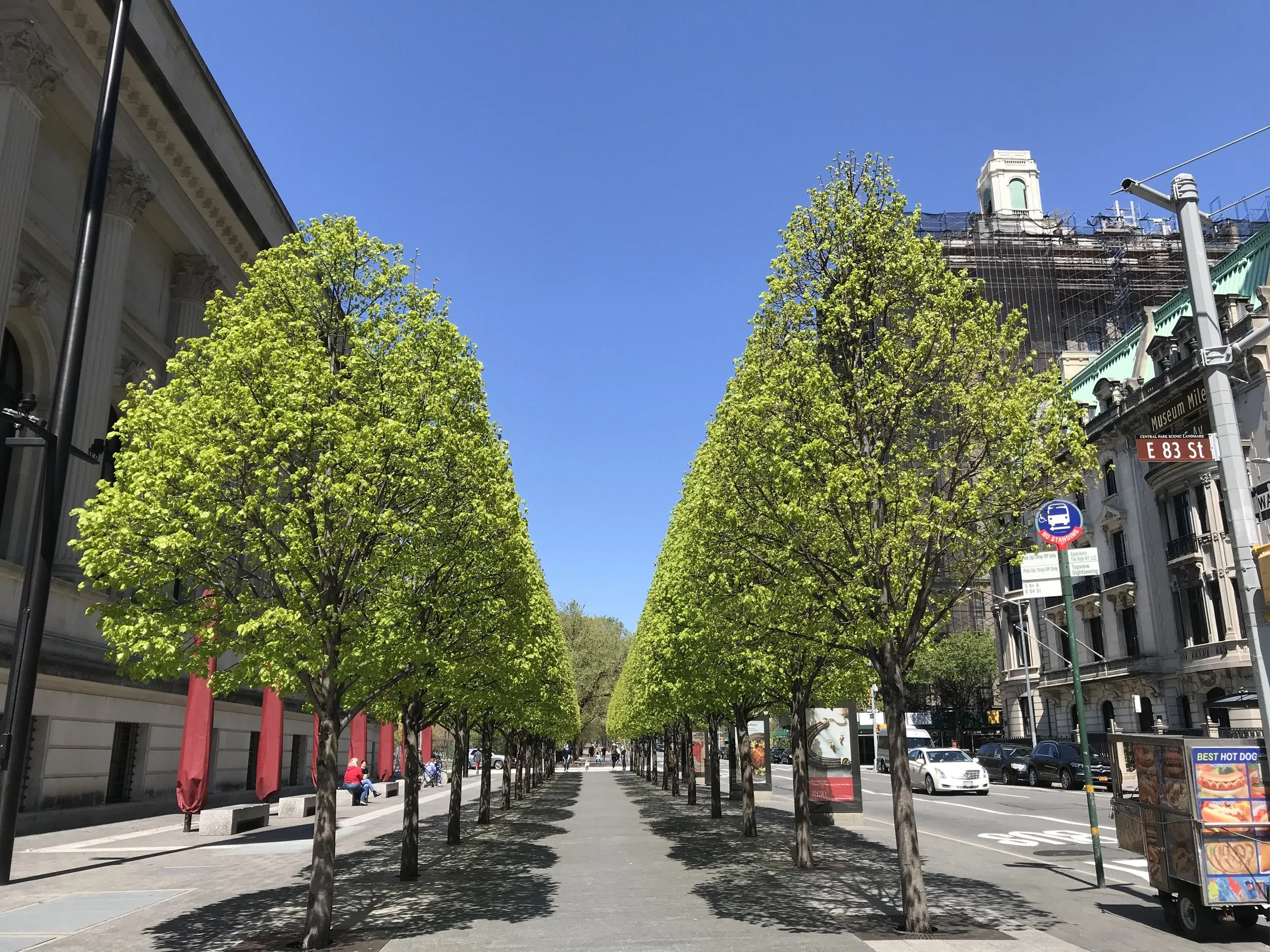 Urban Arborists BTH LLC gallery 4