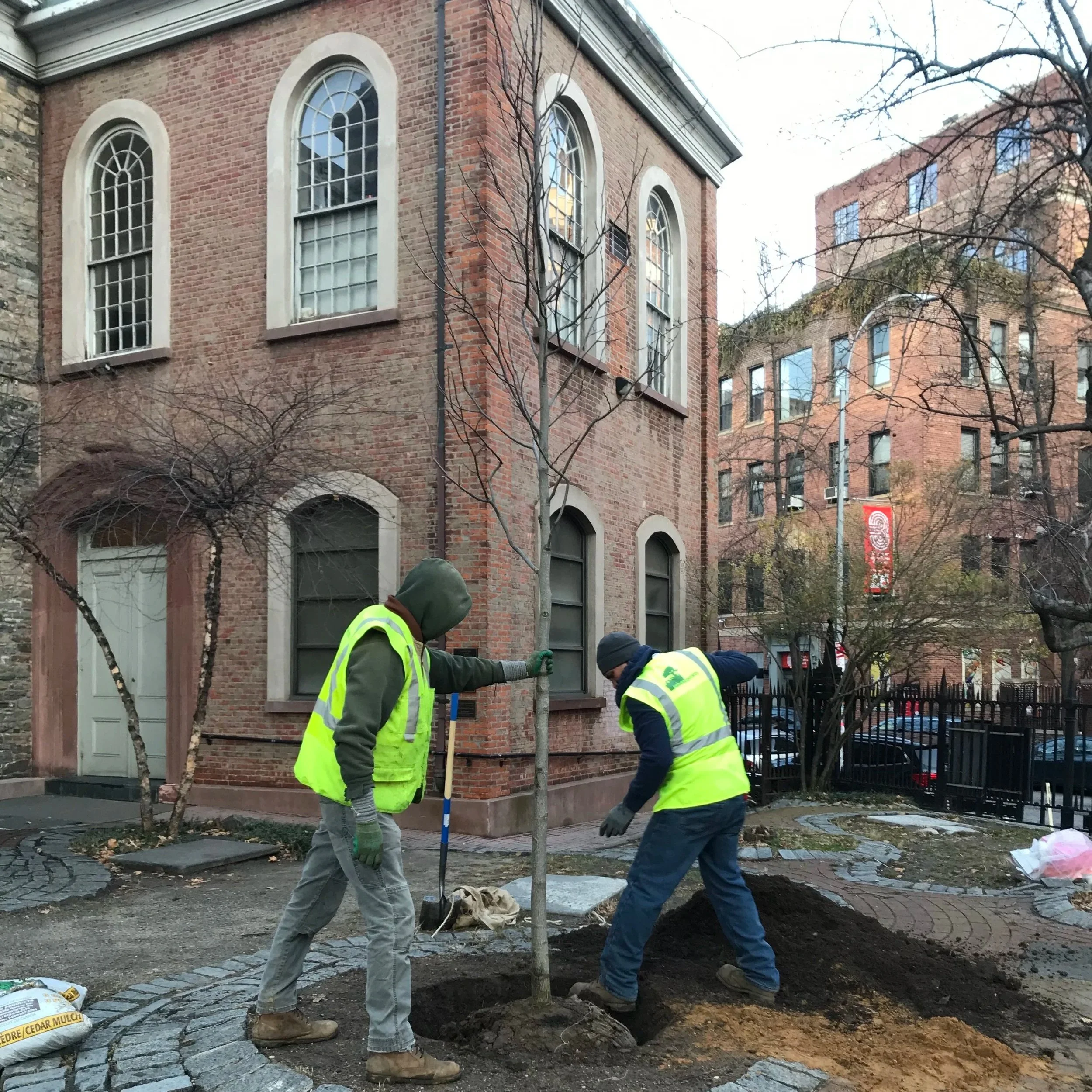 Urban Arborists BTH LLC gallery 5