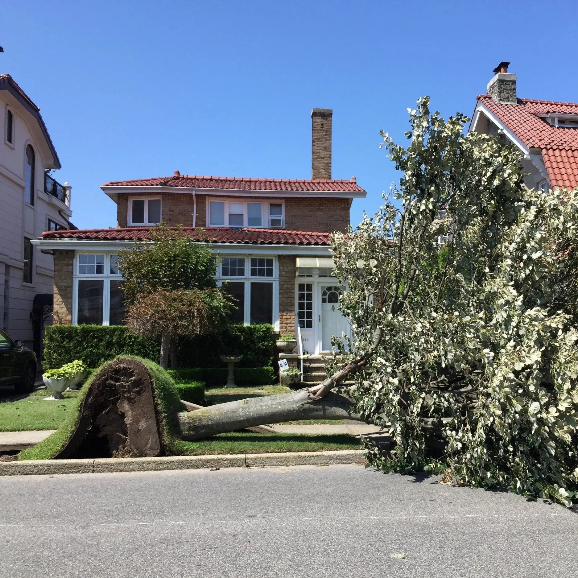 Urban Arborists BTH LLC gallery 7