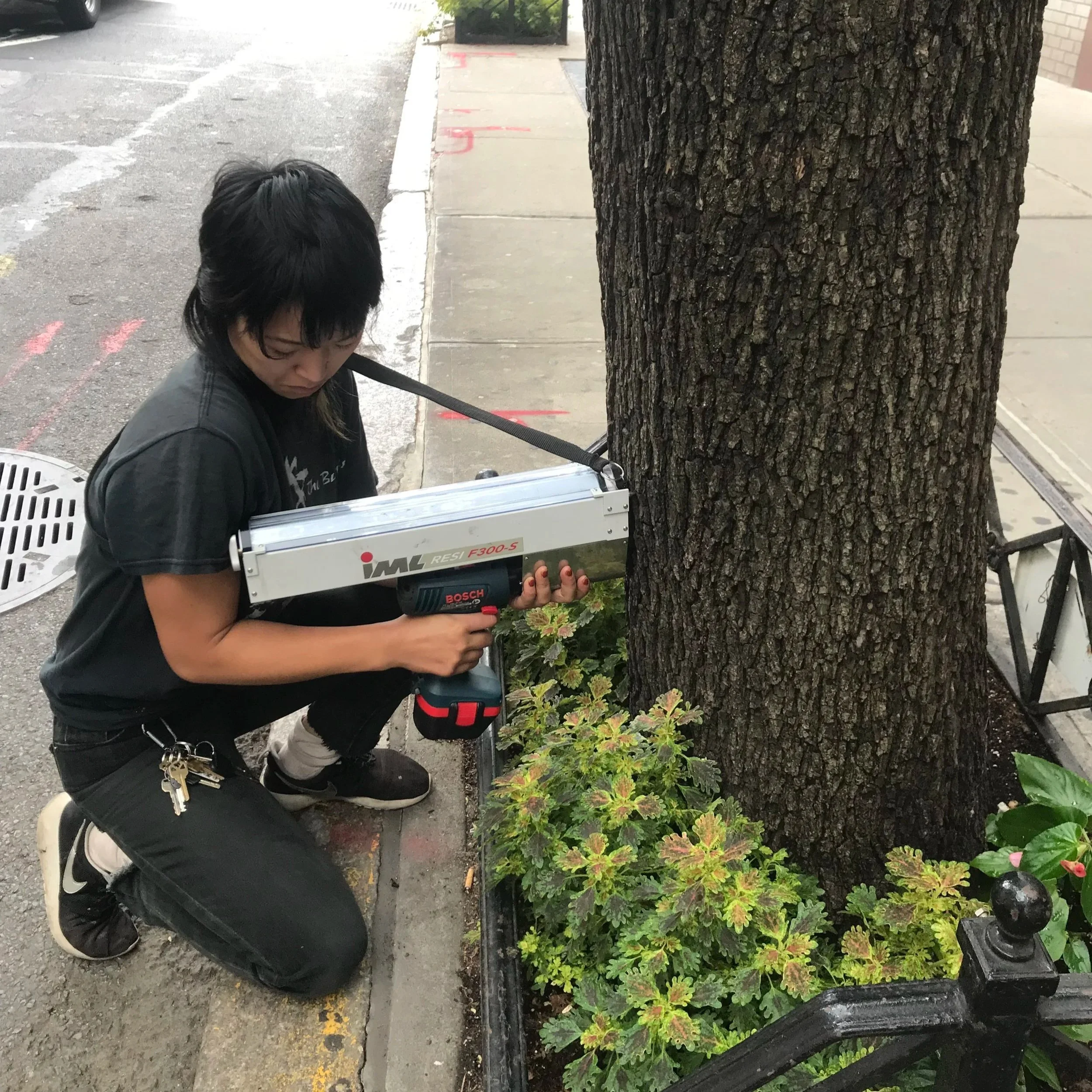 Urban Arborists BTH LLC gallery 10
