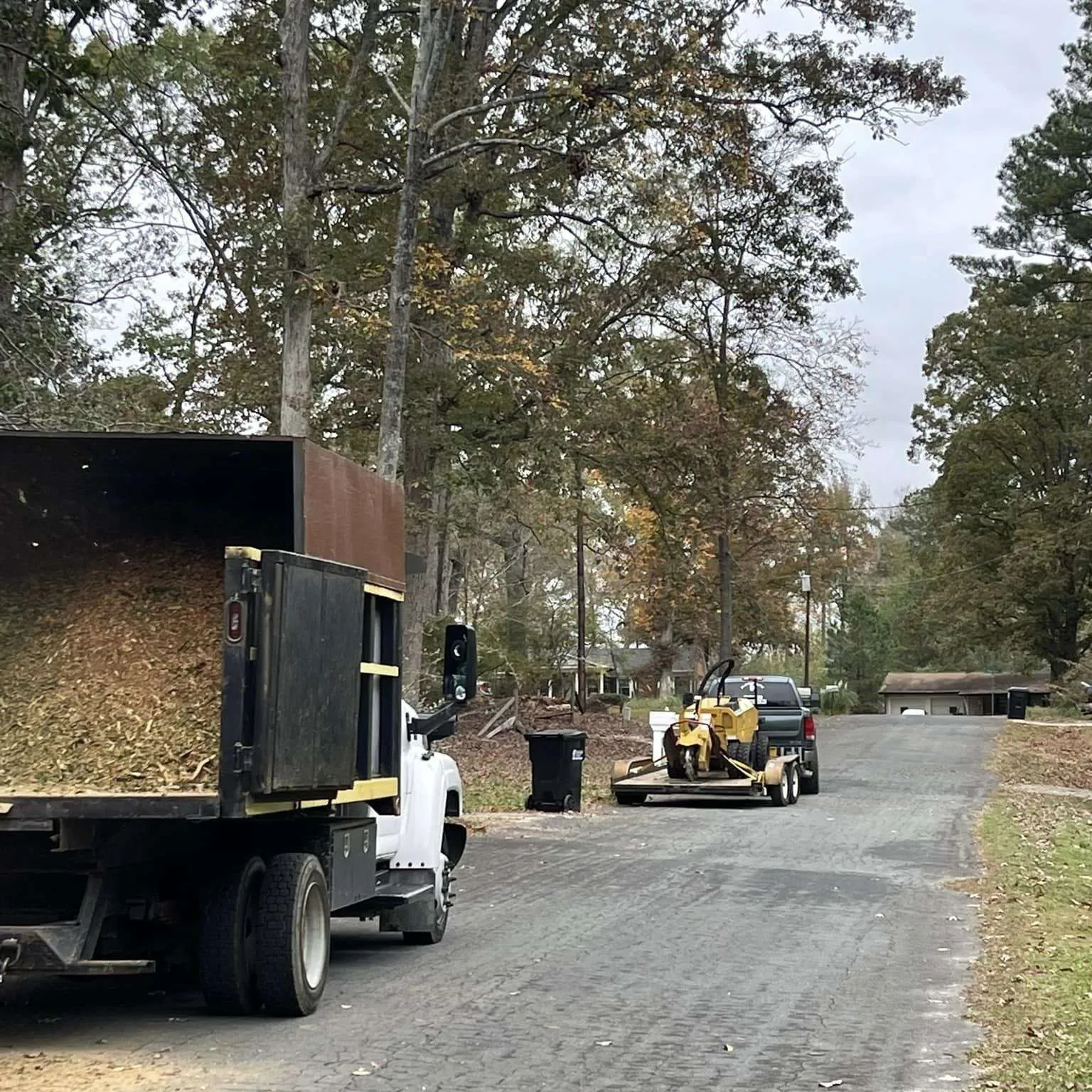Vasquez Tree Service NC gallery 2