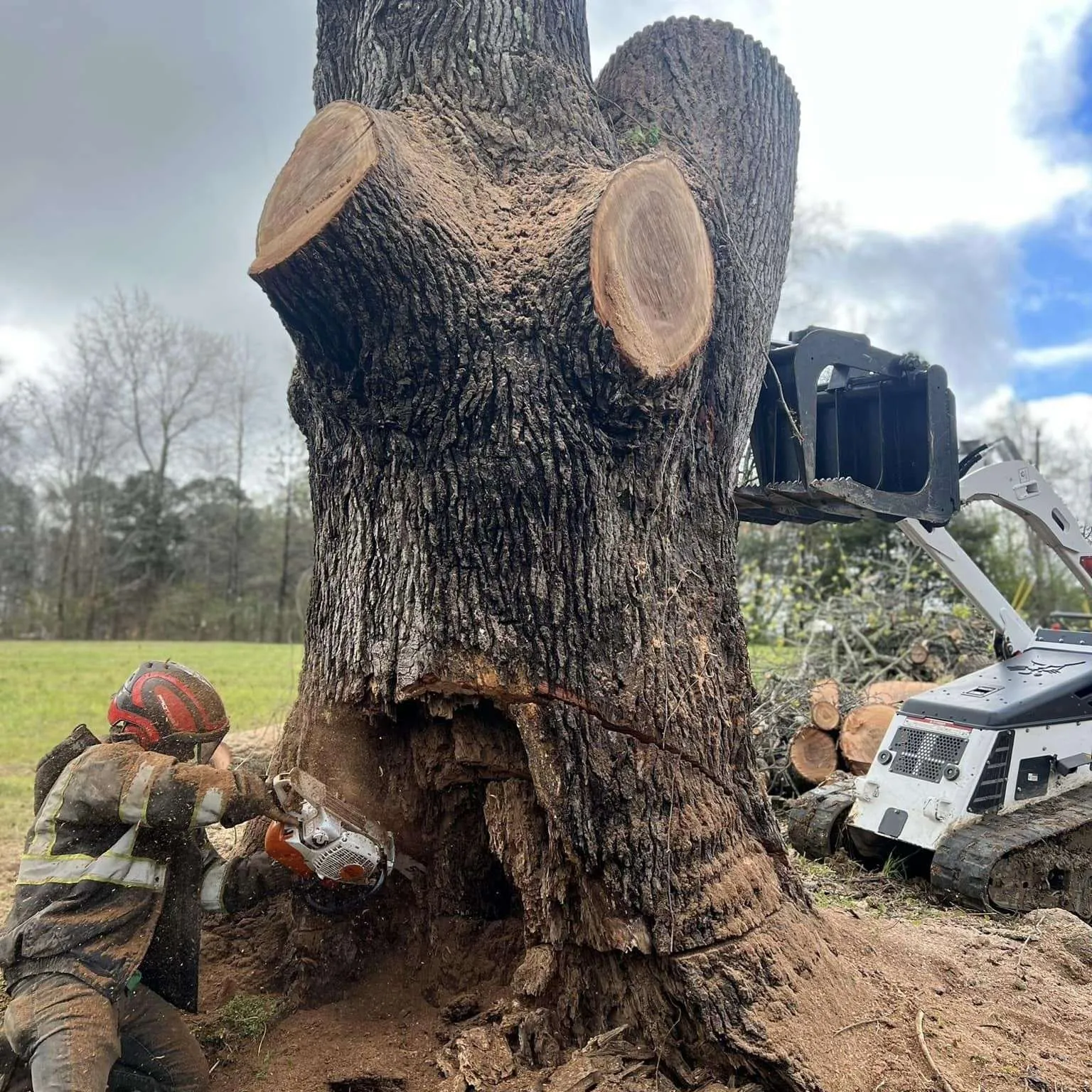 Vasquez Tree Service NC gallery 3