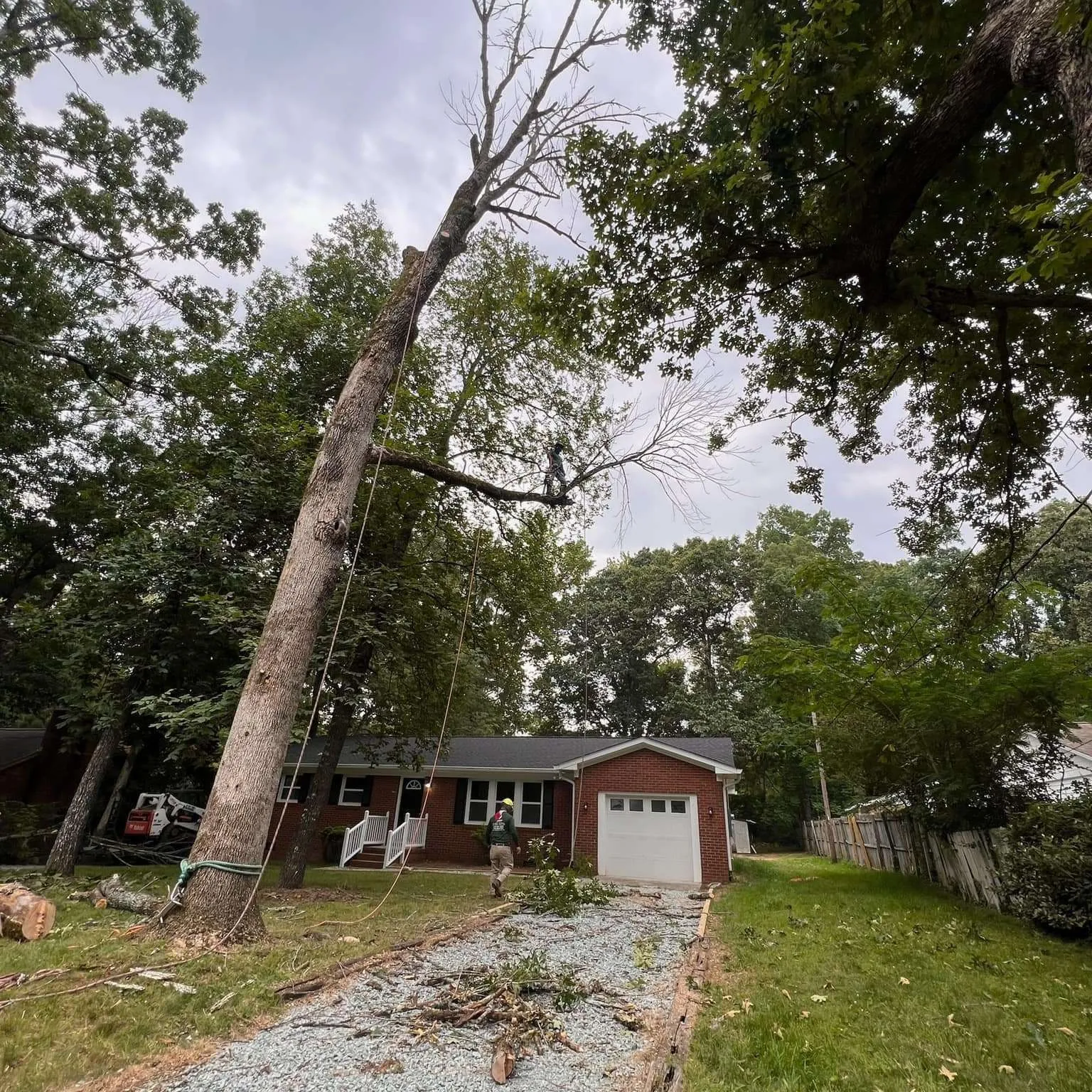 Vasquez Tree Service NC gallery 4