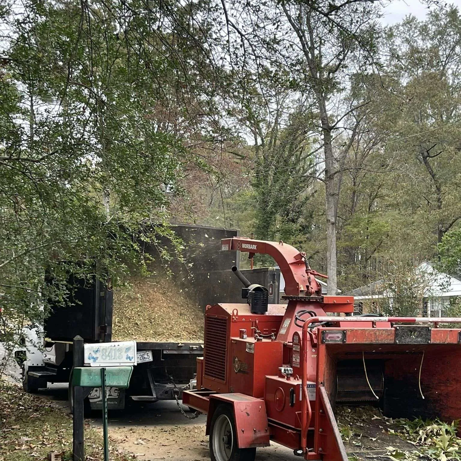 Vasquez Tree Service NC gallery 6