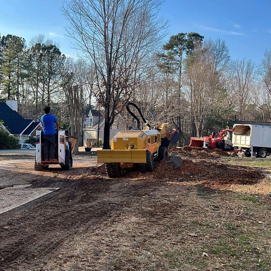 Vasquez Tree Service NC gallery 7