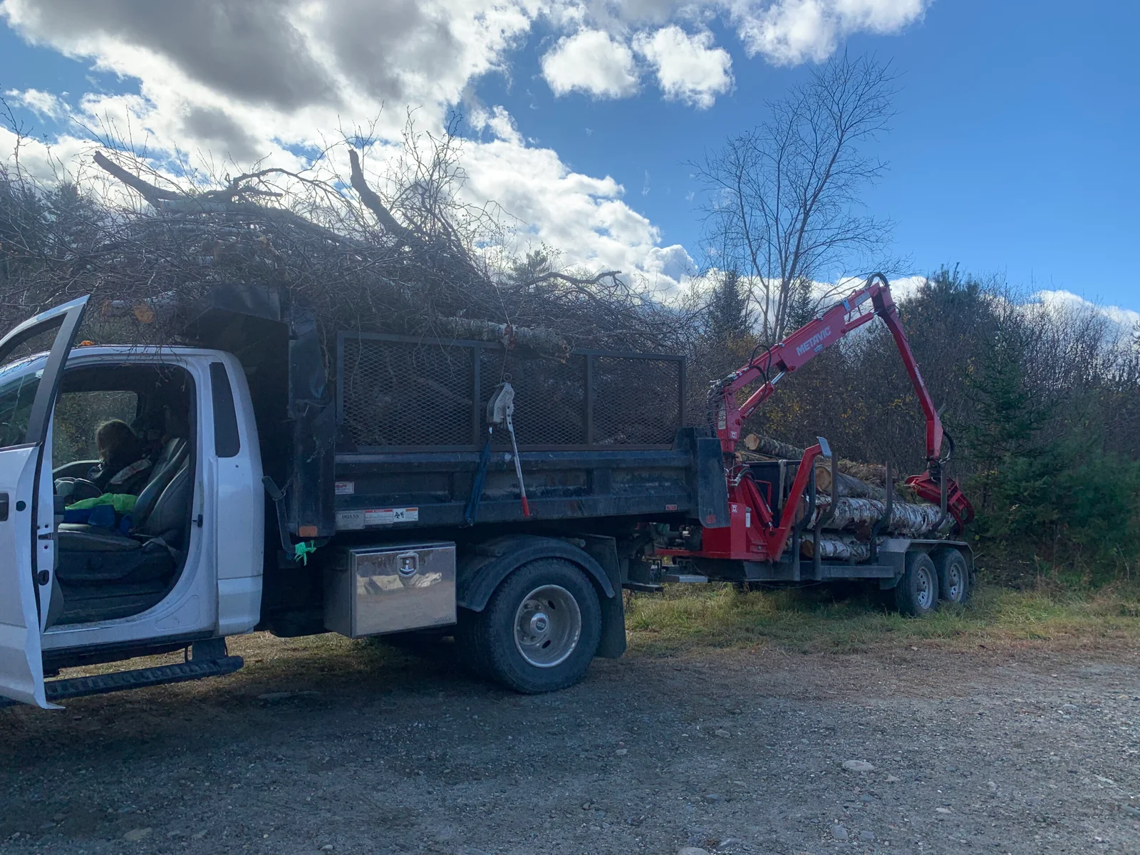 Vermont Tree Climbers gallery 6