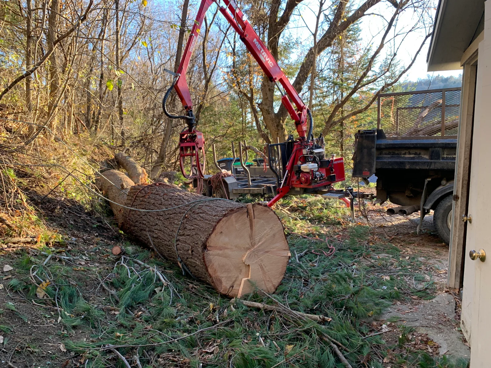 Vermont Tree Climbers gallery 7