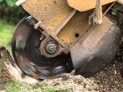 VPG Stump Grinding