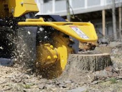 VPG Stump Grinding gallery 2