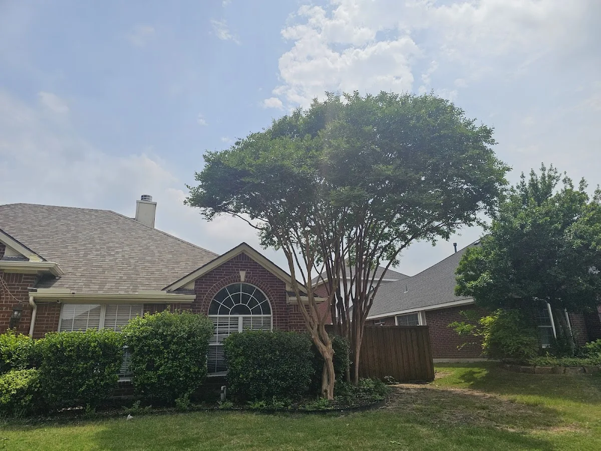 Wauson Tree Service work site
