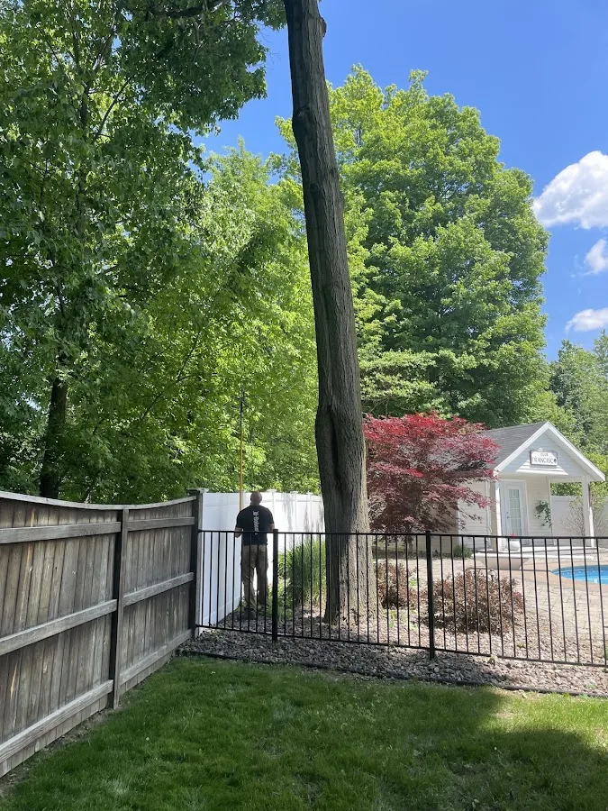Weber Tree INC