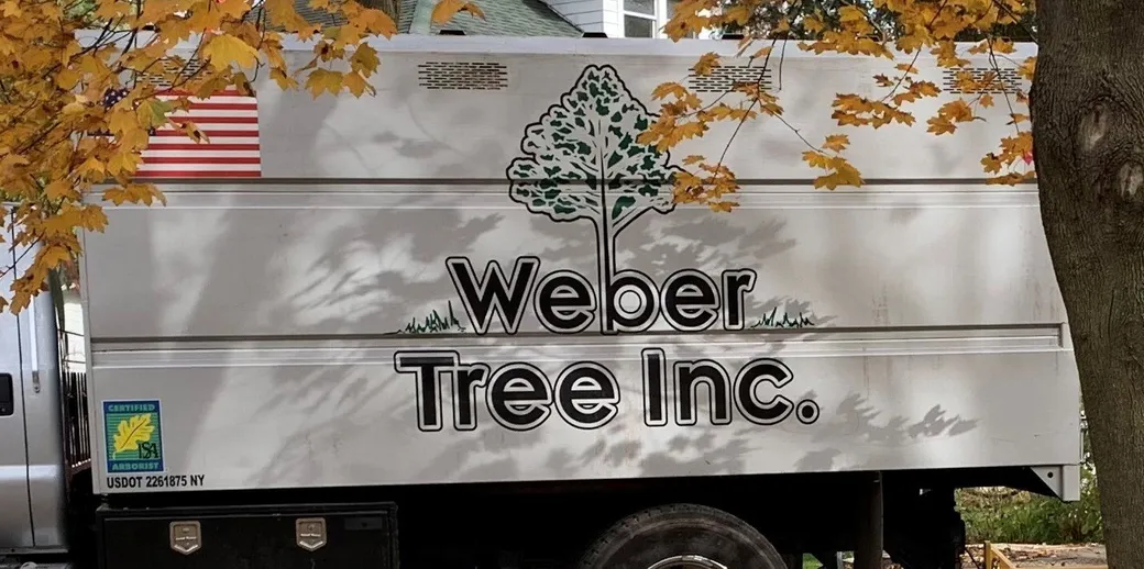 Weber Tree INC gallery 2