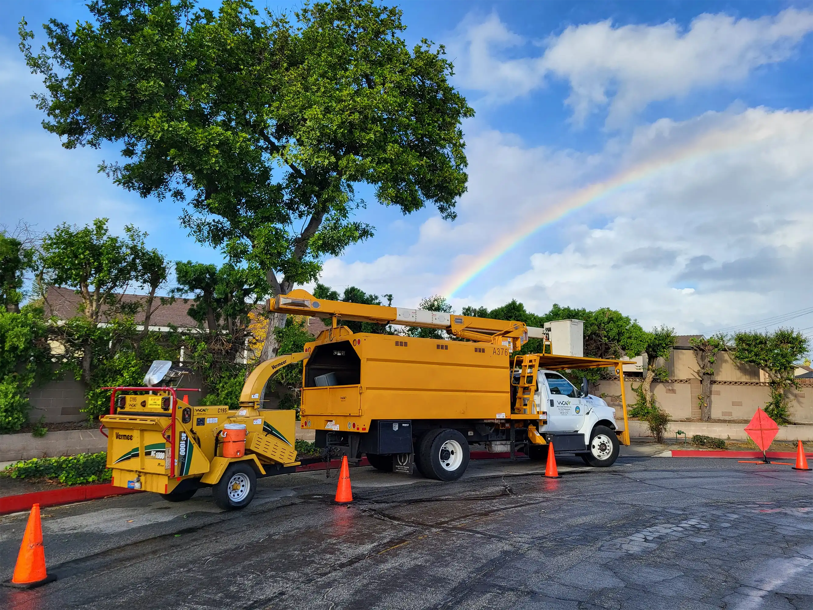 West Coast Arborists, Inc. gallery 3