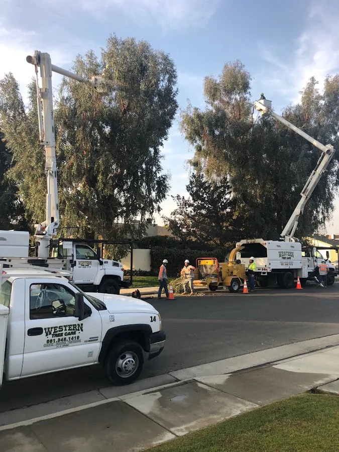Western Tree Care Corp.